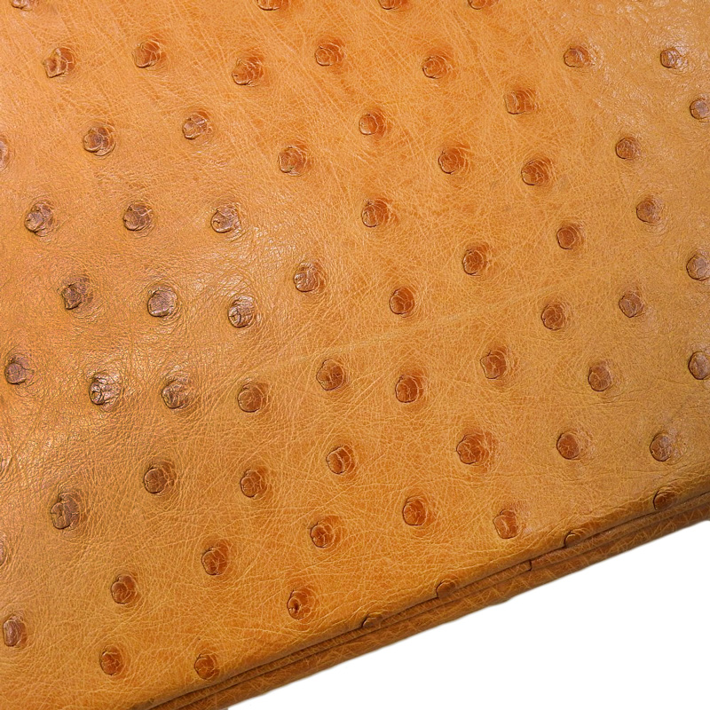 http://エルメス%20HERMES%20ボリード31%202WAYバッグ%20ハンドバッグ%20ショルダーバッグ%20オーストリッチ%20ブラウン%20〇X刻印%201994年%20中古%20HE0908